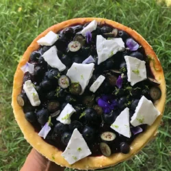 Tarte myrtilles par Csibon